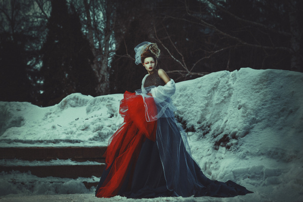 Beau modèle avec un maquillage créatif pose dans une forêt d'hiver
 - Photo, image