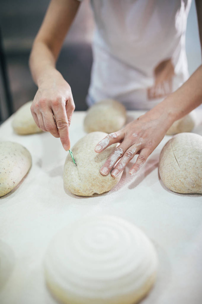 Baker preparing bread. Close up of hands kneading dough. Bakery  - Photo, image