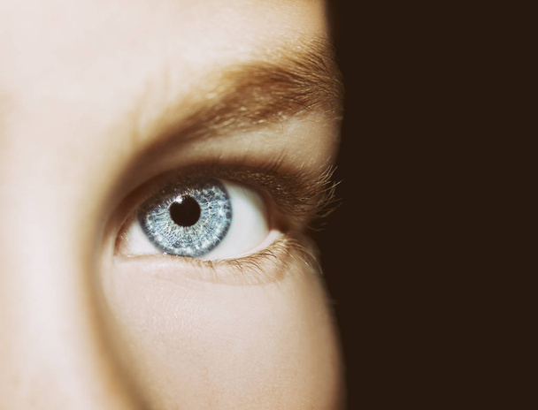 Un hermoso ojo de mujer mirada perspicaz - Foto, imagen