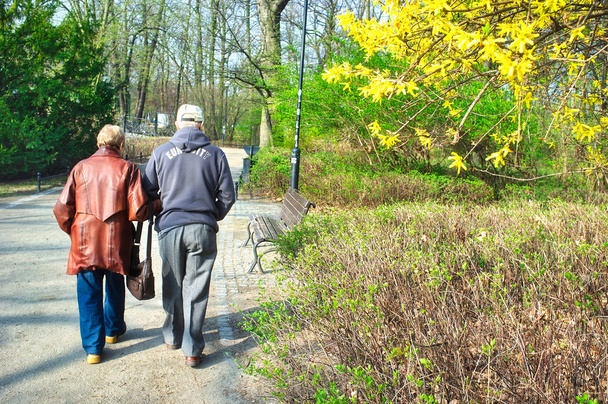 Senior couple walking in park - 写真・画像