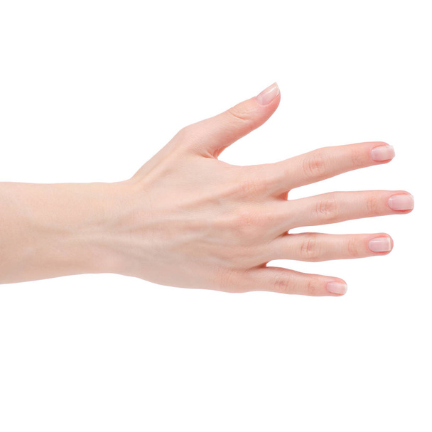Female hand okay - Foto, Imagem