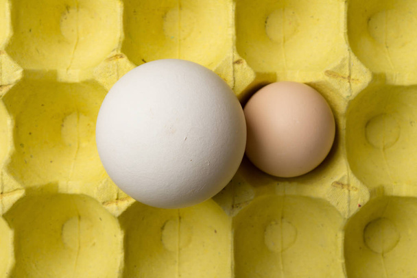 bovenaanzicht reus grootte goose egg naast een kip ei op pakket concept van grootte vergelijking - Foto, afbeelding