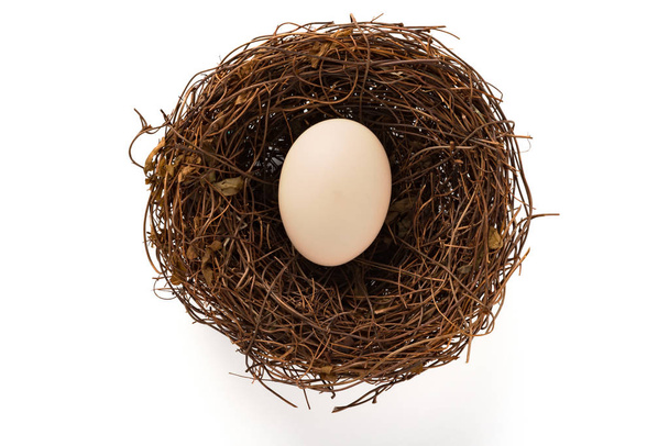 bovenaanzicht goose egg op nest op witte achtergrond - Foto, afbeelding