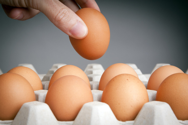 Ручной сбор яиц
 - Фото, изображение