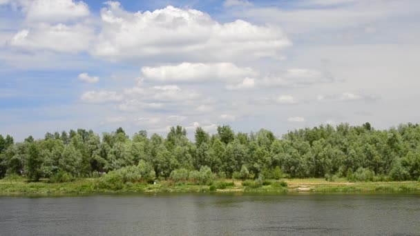 fiume Desna in estate con alberi verdi e nuvole nel cielo blu
 - Filmati, video