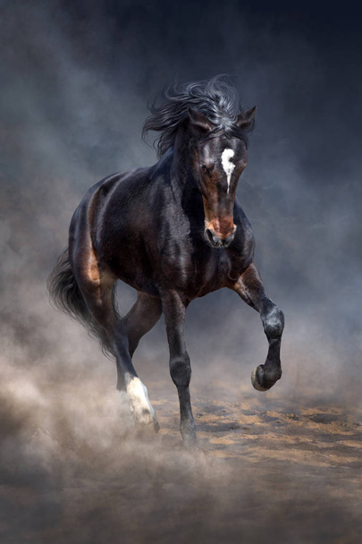 Дикая лошадь бежит в темной пустыне пыли
 - Фото, изображение