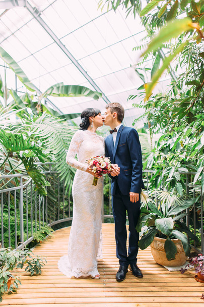 The just married are kissing in the lovely botanic garden. Full-length view. - Fotoğraf, Görsel