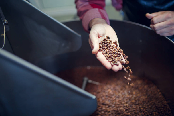 Photo of mans hand with coffee beans at industrial roaster - Photo, Image