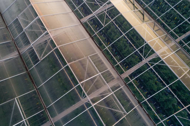 Veduta aerea drone su grandi case di vetro moderne
 - Foto, immagini