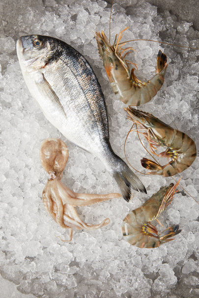 top view of raw gilt-head bream and prawns on crushed ice - Photo, Image