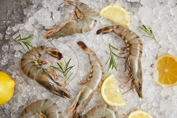 top view of raw prawns with rosemary and lemon slices on crushed ice - Photo, Image