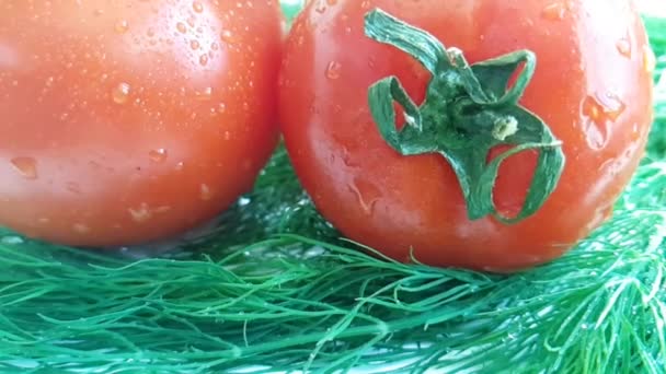 Fenykl červené rajče mokré na bílém pozadí pohybu kapky sprej zdravé jídlo,  - Záběry, video