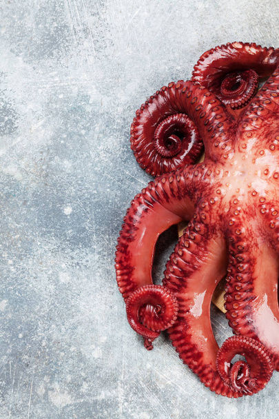 Ruwe octopus koken op stenen tafel. Schaal-en schelpdieren. Met ruimte voor uw recept (bovenaanzicht) - Foto, afbeelding