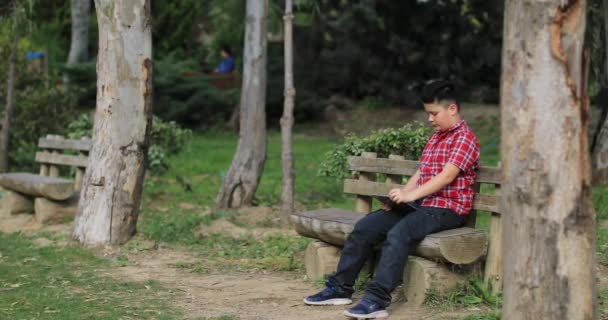 Portrait of a teen with digital tablet computerat the nature - Footage, Video