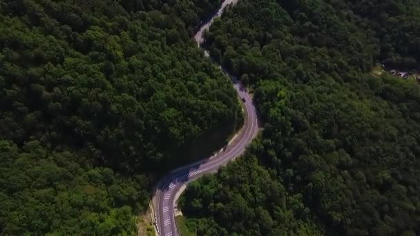 Luftbild fliegt über alte geflickte zweispurige Waldstraße mit Autos Transporter bewegen grüne Bäume von dichten Wäldern wachsen beidseitig - aufgenommen mit Drohne Quad-Copter-Vogelperspektive von oben - Filmmaterial, Video