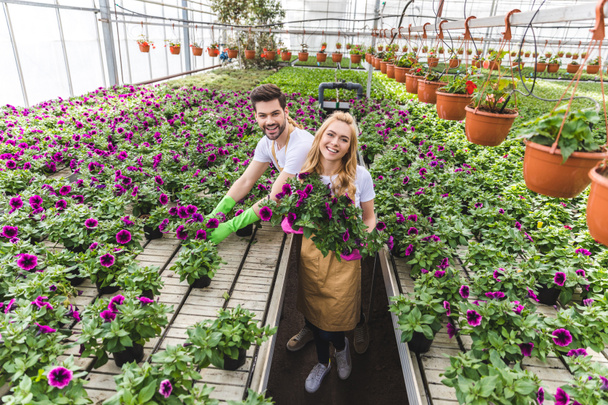 Smiling gardeners holding pots with flowers in greenhouse - Photo, Image