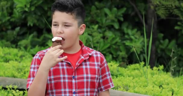 Schattige Preteen jongen geniet ijs - Video