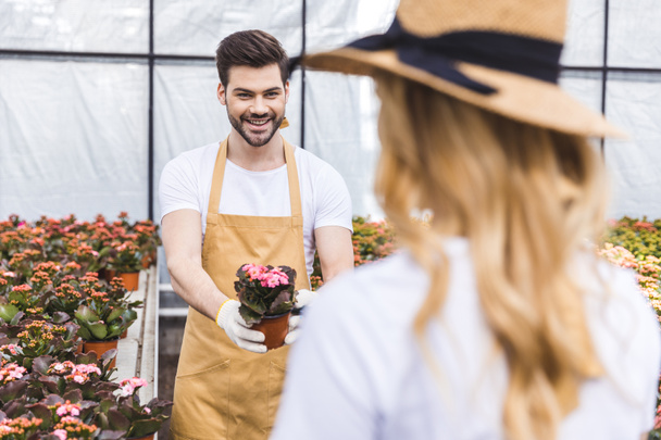 Male gardener presenting flowers in pot to his female colleague - Foto, afbeelding