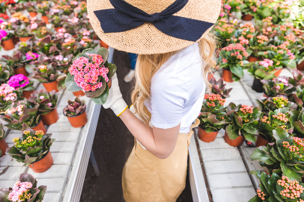 Kadın bahçıvan elinde mor çiçekler yakından görmek - Fotoğraf, Görsel