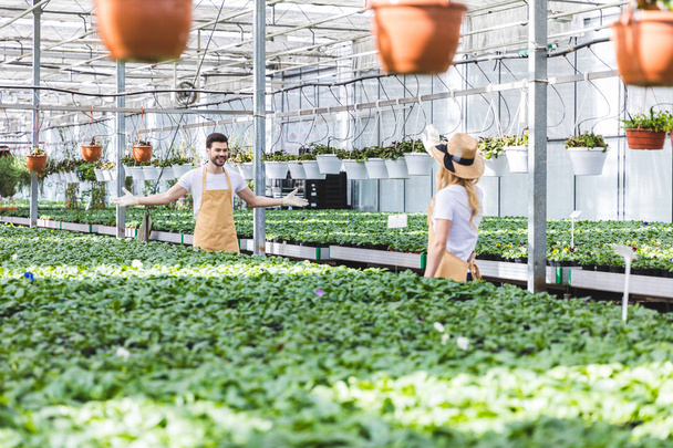 Jeunes jardiniers masculins et féminins travaillant parmi les plantes en serre
 - Photo, image