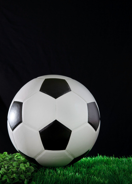 Ποδόσφαιρο Ποδόσφαιρο για την πράσινη χλόη από φως στούντιο - Φωτογραφία, εικόνα