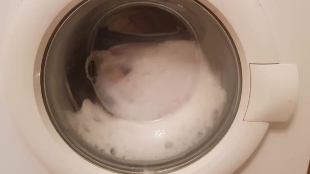 Ρολό πλυντήριο ρούχων με αφρό γυρίζει σεντόνια - Πλάνα, βίντεο