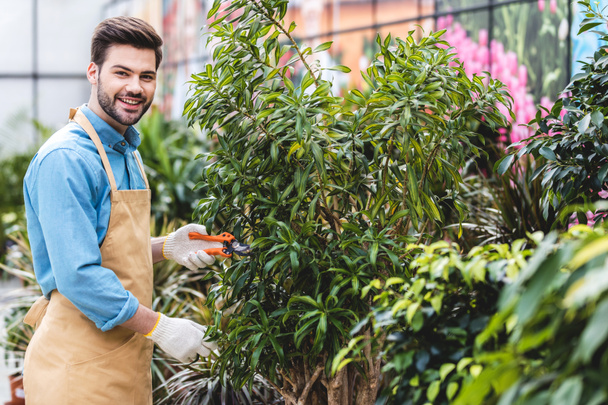 Hombre guapo cortando plantas verdes en invernadero
 - Foto, Imagen