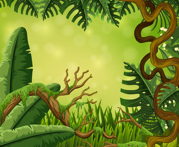 Фон сцены с деревьями в лесу
 - Вектор,изображение