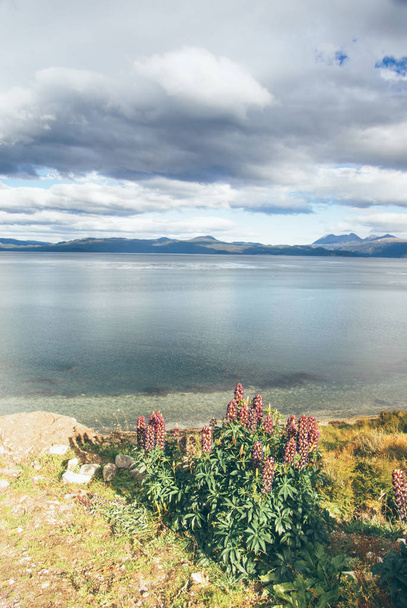 Näkymä Beagle Channel kansallispuistossa Tierra del Fuego Ushuaiassa, Argentiinassa
 - Valokuva, kuva