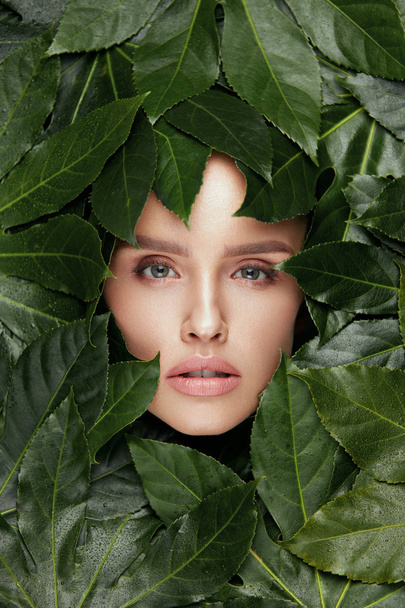 Beauty Woman Face With Green Leaves Around Face - 写真・画像