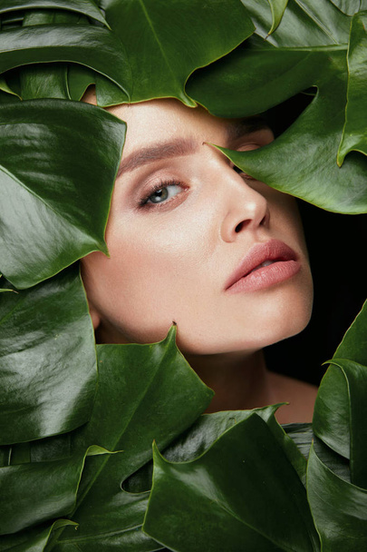 Beauty Woman Face With Green Leaves Around Face - Foto, Imagem