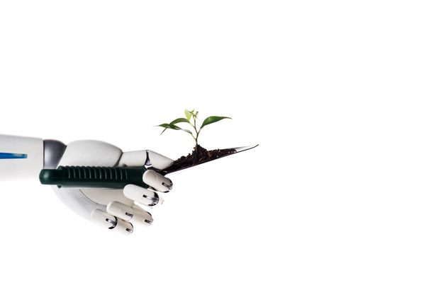 Roboterhand hält Gartenschaufel mit Erde und grüner Pflanze isoliert auf weiß - Foto, Bild