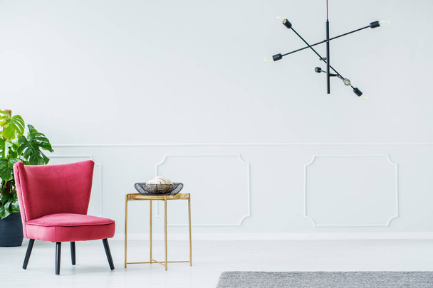 Elegant room with armchair - Fotoğraf, Görsel
