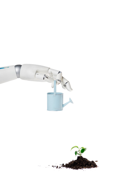 cropped shot of robot holding watering can over small plant isolated on white - Photo, Image