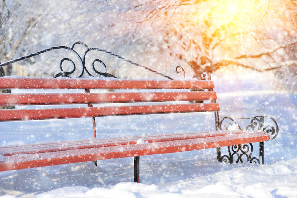 Ławka w parku zimowym - Zdjęcie, obraz