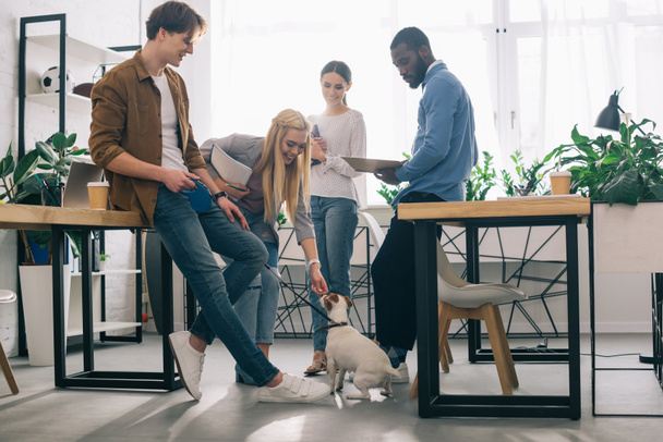 multicultural business colleagues with textbooks and jack russel terrier on leash in modern office - 写真・画像