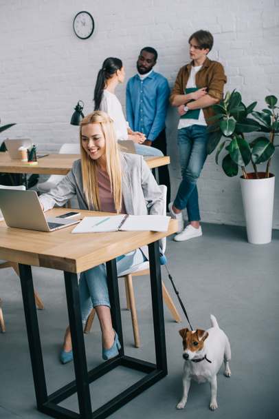 smiling businesswoman using laptop and holding jack russell terrier on leash and coworkers having meeting behind in modern office  - Photo, Image