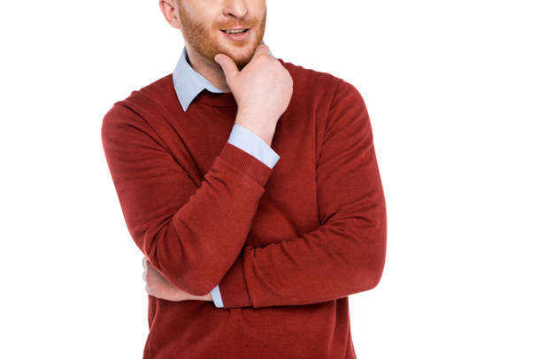 oříznuté záběr vousatý usmívající se muž drží ruku na bradě izolované na bílém - Fotografie, Obrázek