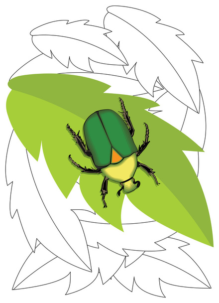 Beetle - Vector, Image