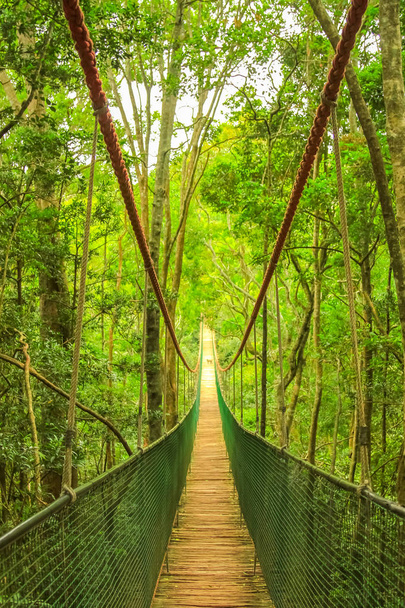 puente de madera cuerda
 - Foto, Imagen