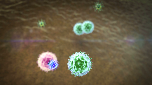 Coronavirus tast de longcellen aan, medische video achtergrond, groep virussen, virusaanval, fagocytose, fagocytose, fagocyt doodt virussen - Video