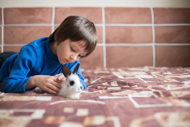 Cute little preschool boy, playing with pet rabbits at home - Photo, image