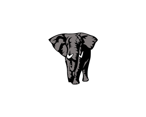 Elefante mamífero de dibujos animados grande aislado en blanco. Elefante africano arbusto o forestal y elefante asiático
.  - Vector, Imagen