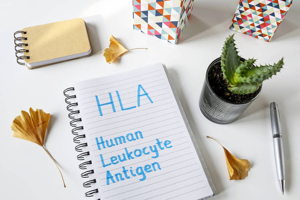 antígeno leucocitario humano HLA escrito en un cuaderno sobre mesa blanca
 - Foto, Imagen