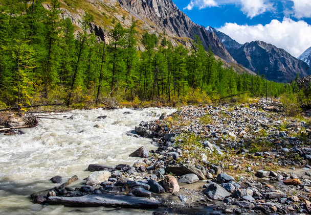 Mountain landscape. Mountain river in the Altai Republic. - Fotoğraf, Görsel
