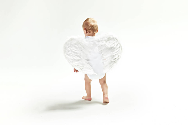 Portrait of a cute little baby angel - Foto, afbeelding