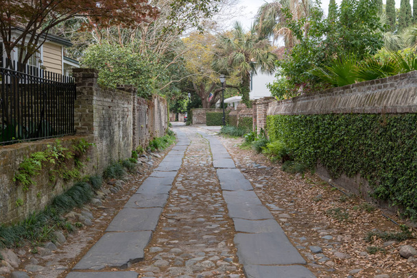 Ivy Covered Side Alley en Charleston
 - Foto, imagen