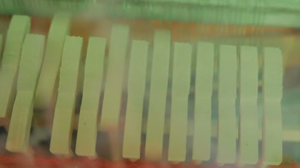 Primer plano de martillos de piano tocando las teclas - Metraje, vídeo