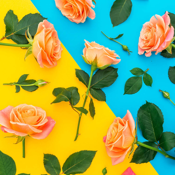 Motif avec roses roses et oranges, bourgeons et feuilles vertes sur fond jaune et bleu. Couché à plat, vue de dessus. Fonds printanier
 - Photo, image