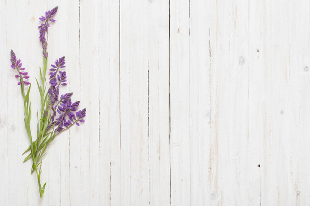 violet flowers on white wooden background  - Φωτογραφία, εικόνα